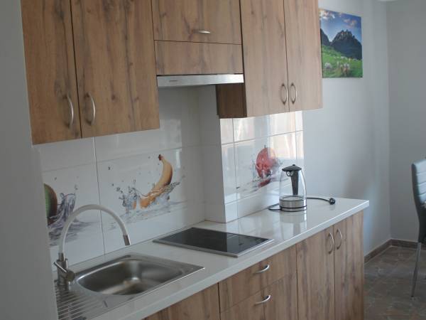 Apartament 5 osobowy - kuchnia z aneksem kuchennym