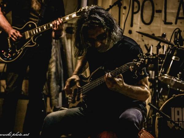 Tło dla Mew- Koncerty