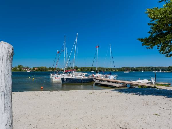 Tło dla Mew- Plaża
