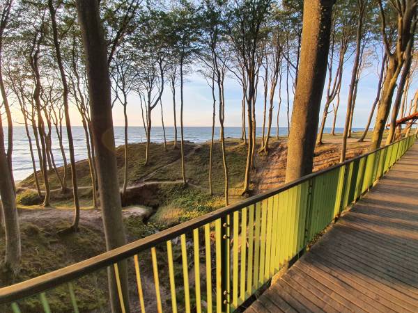 Szlak pieszo - rowerowy - Poddąbie