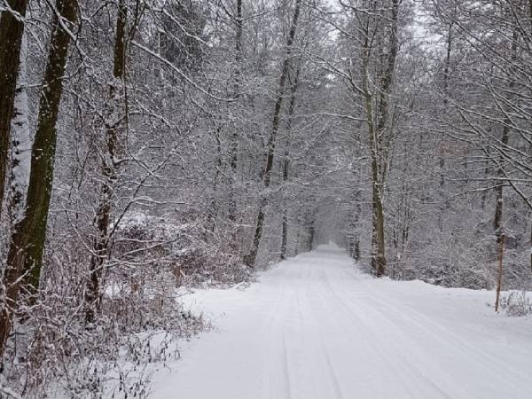 Basiówka nad jeziorem domek całoroczny