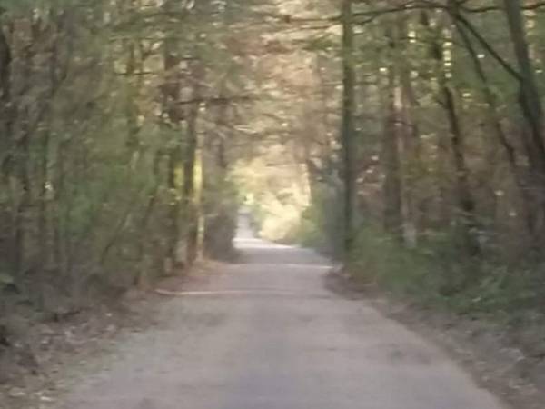 Basiówka nad jeziorem domek całoroczny