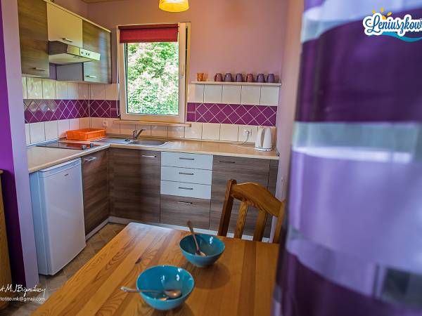 Domki letniskowe Leniuszkowo