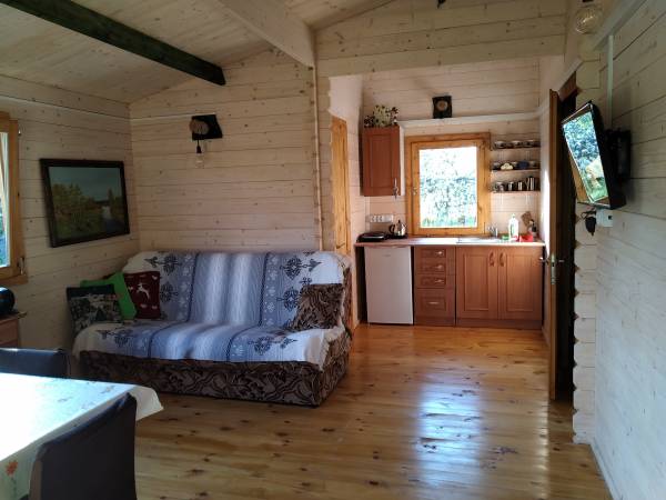 Salon z aneksem kuchennym w domku Leśnym