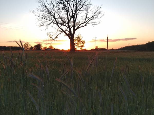 Dom Pracy Twórczej Rybaczówka