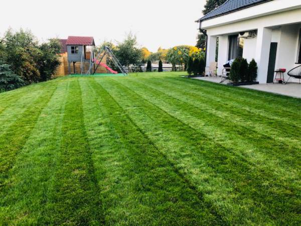 Domki apartamentowe Orłówka