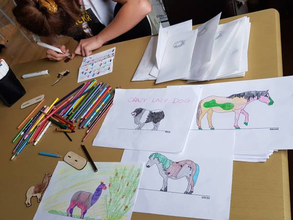 Zajęcia rekreacyjno - edukacyjne z elementami terapii