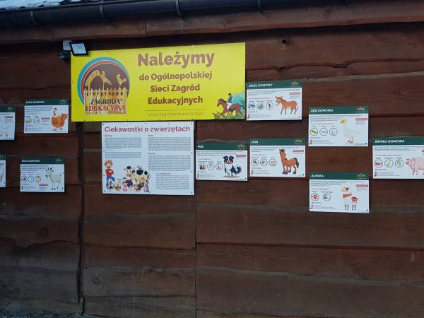 Zajęcia rekreacyjno - edukacyjne z elementami terapii