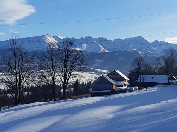 Widok z podwórka 🌻