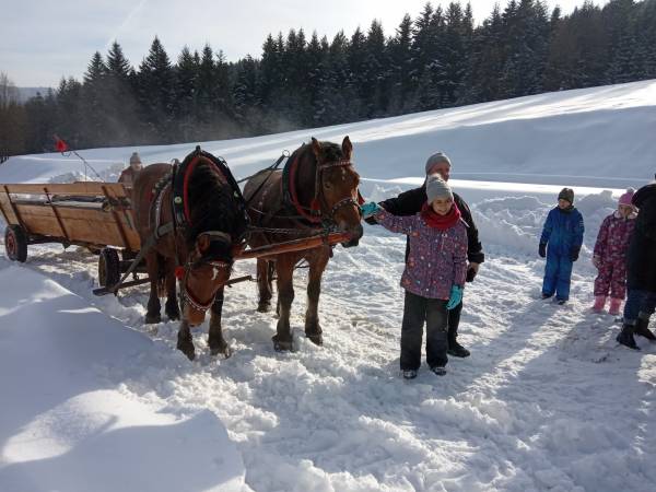 Domek na Skalnej Górce w Tyliczu