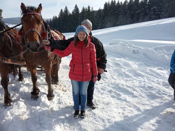 Domek na Skalnej Górce w Tyliczu