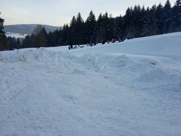 Domek na Skalnej Górce w Tyliczu