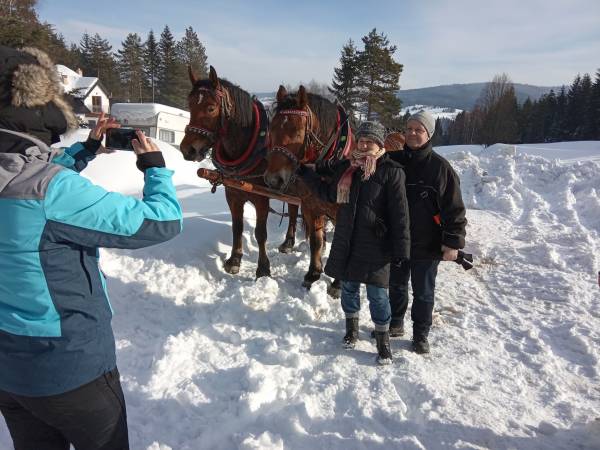 Domek na Skalnej Górce w Tyliczu