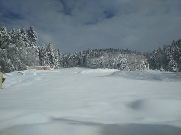 Domek na Skalnej Górce w Tyliczu