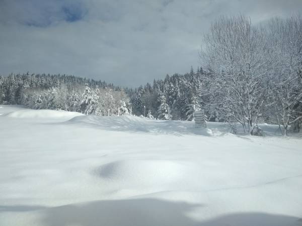 Domek na Skalnej Górce w Tyliczu