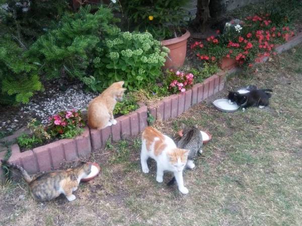 Agroturystyka u Krystyny