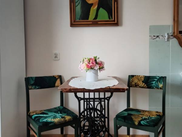 Agroturystyka Bora Zdrój