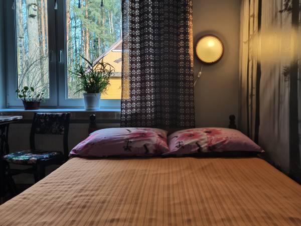 Agroturystyka Bora Zdrój