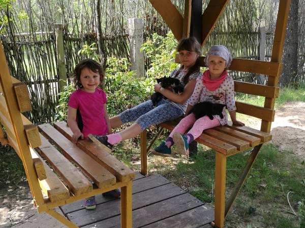 Agroturystyka Bora Zdrój