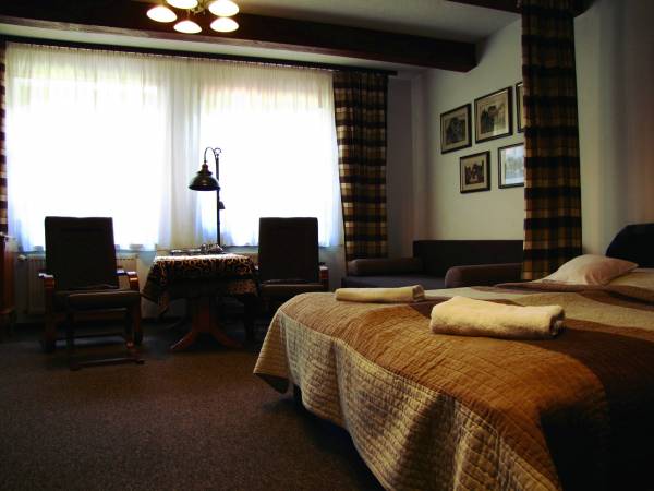 APARTAMENT Z KOMINKIEM I ELEGANCKIE POKOJE U ŚLIWÓW