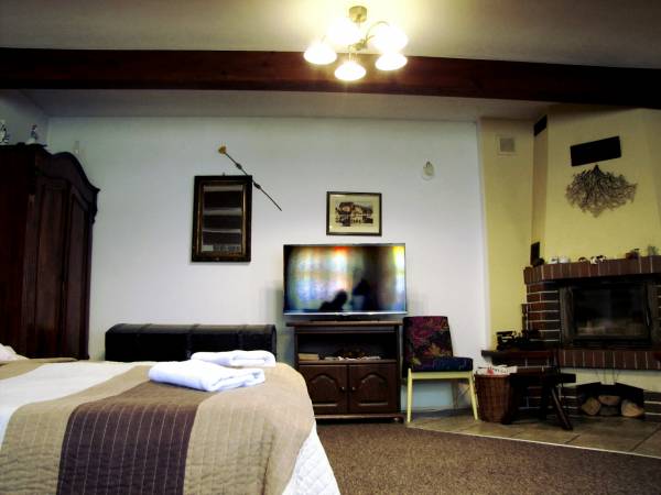 APARTAMENT Z KOMINKIEM I ELEGANCKIE POKOJE U ŚLIWÓW