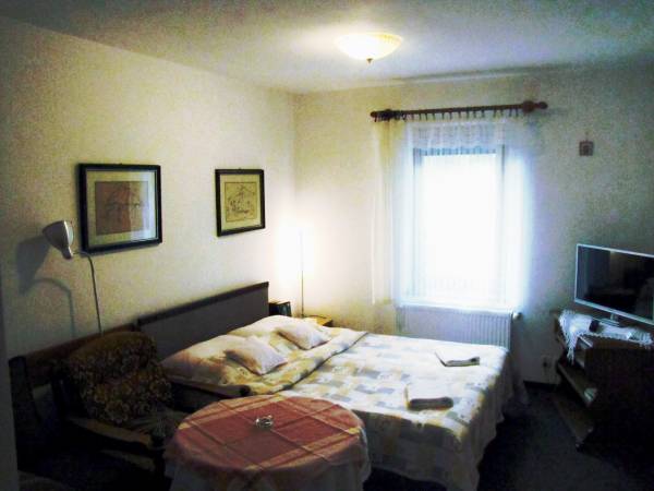 APARTAMENT Z KOMINKIEM I ELEGANCKIE POKOJE U ŚLIWÓW