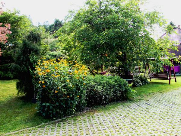 APARTAMENT Z KOMINKIEM I ELEGANCKIE POKOJE U ŚLIWÓW