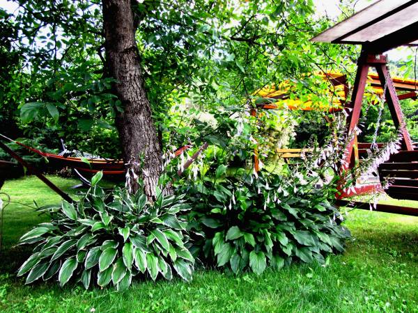 APARTAMENT Z KOMINKIEM I ELEGANCKIE POKOJE U ŚLIWÓW