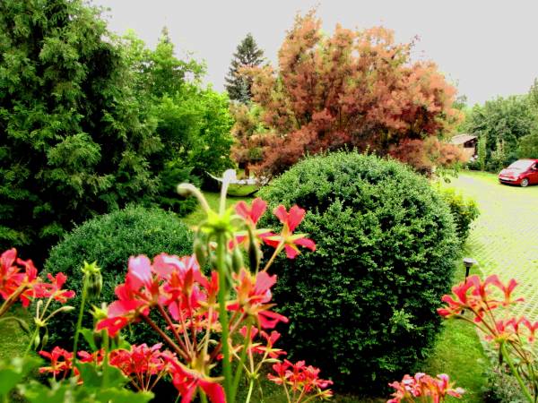 APARTAMENT Z KOMINKIEM I ELEGANCKIE POKOJE U ŚLIWÓW