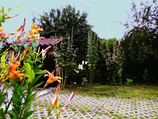 APARTAMENT Z KOMINKIEM I ELEGANCKIE POKOJE U ŚLIWÓW