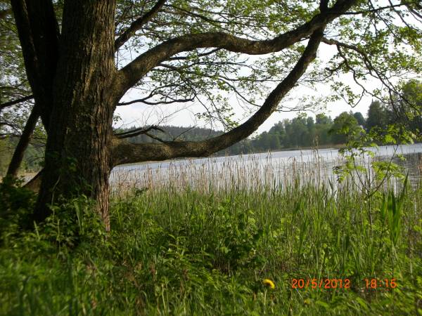 Ingieł widok os strony domku