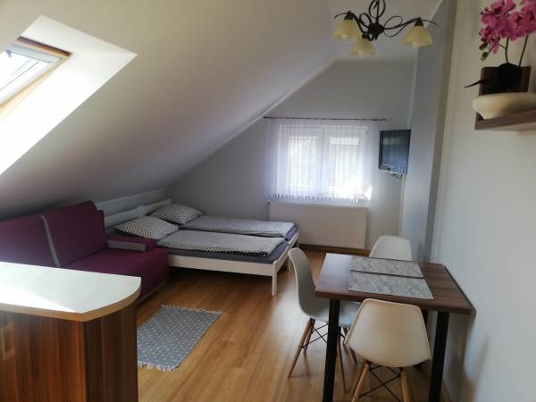 Pokój z aneksem kuchennym