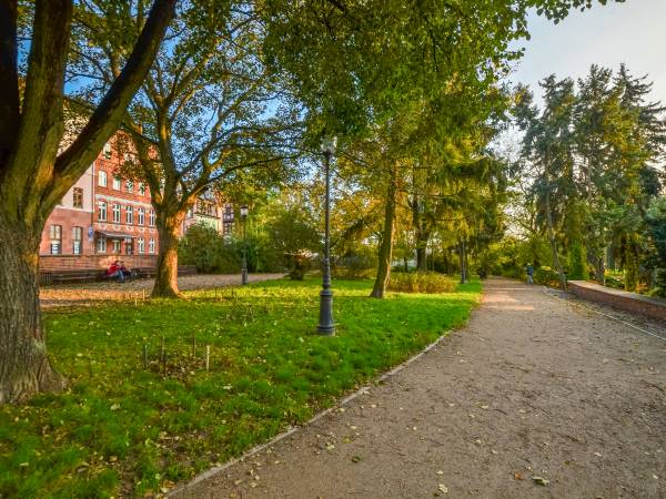 Alpinarium w Toruniu