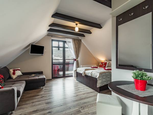 Apartament rodzinny jednopokojowy z dwoma balkonami i pięknym widokiem na góry