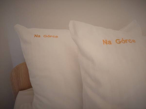 Pensjonat i Domki na Górce