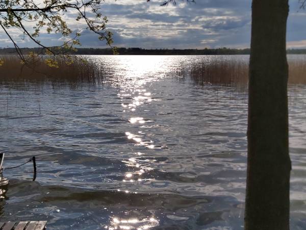 Dostęp do jeziora w Dąbrównie