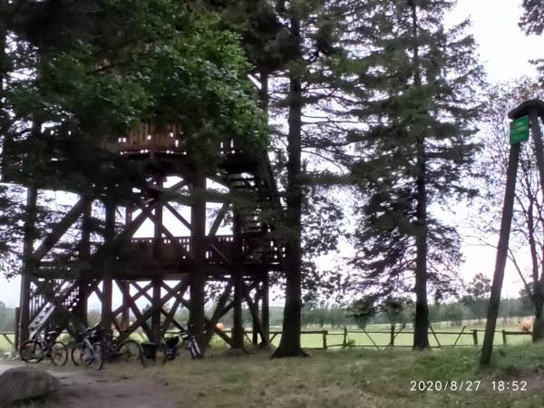 Wieża widokowa Wzgórze Dylewskie