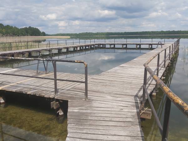 Basen w parku w Dąbrównie