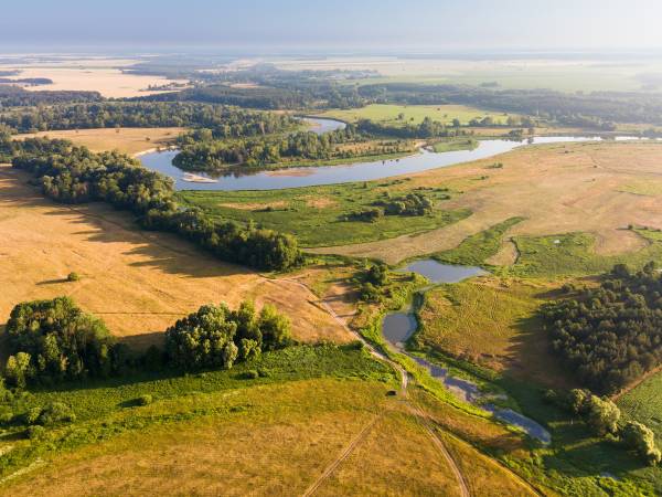 Stadnina Ta Merij Arabians nad Bugiem