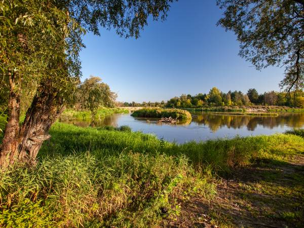 Stadnina Ta Merij Arabians nad Bugiem