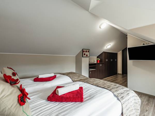 Pokój rodzinny 2os. z widokiem na góry "Dla zakochanych"