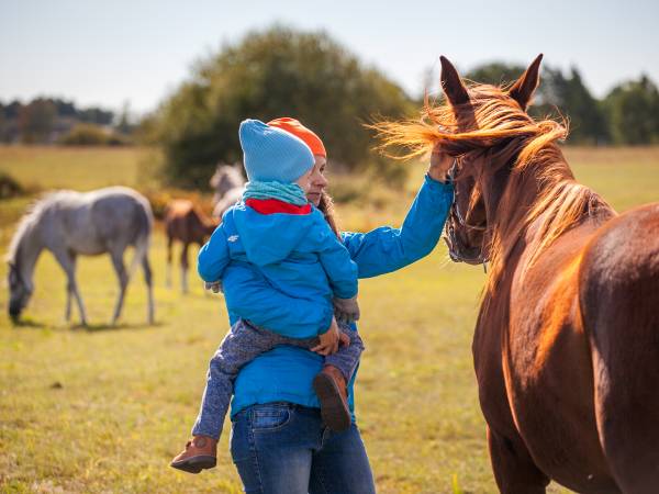 Stadnina Ta Merij Arabians nad Bugiem