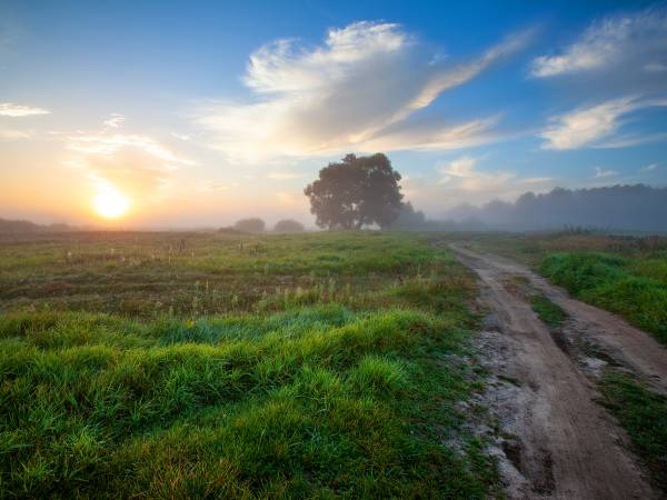 Stadnina Ta Merij Arabians nad Bugiem