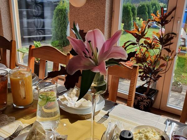 Pokoje Gościnne Kameleon