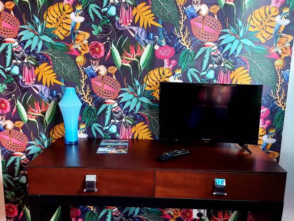 2 Pokojowe studio 2-4osobowe