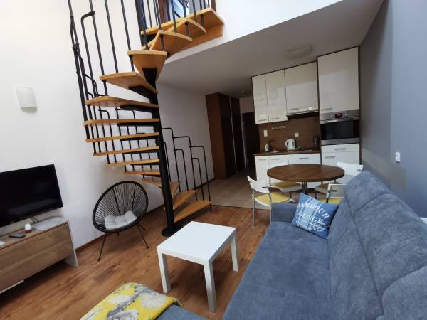 apartament Platynowy