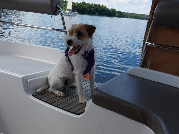 PENSJONACIK JEZIORAK -pokoje gościnne