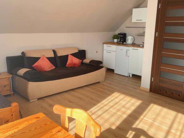 Apartament-duży pokój.