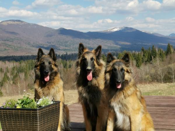 Mile widziani goście