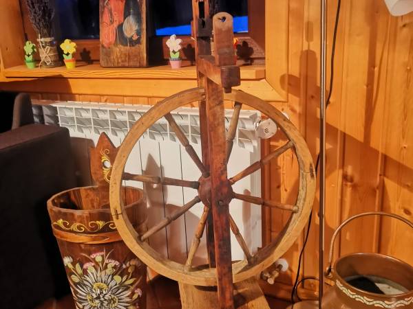 Koncik staroci w salonie